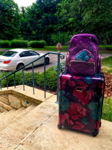 Floral Luggage For Fall